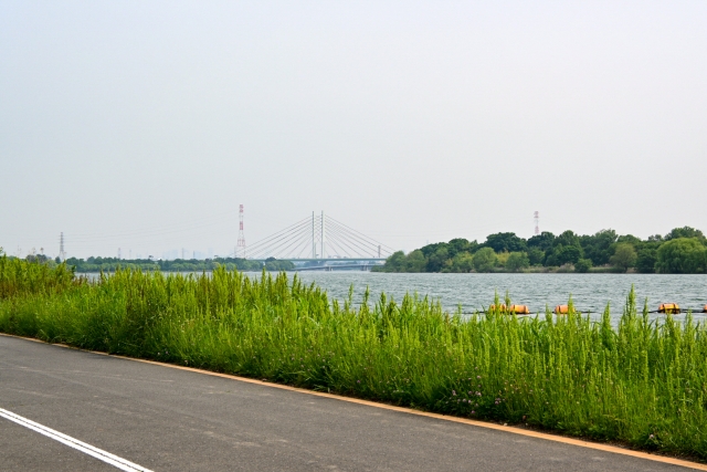 彩湖のマラソンコース